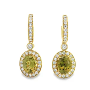 14 Karat Yellow Miscs Gemstone Earrings